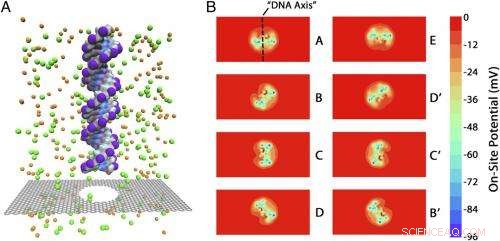 Graphene Quantum Transistor Enables Next-Gen DNA Detection via Ionic Nanopore Sensing