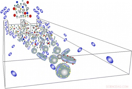 Lab‑Engineered HDL Mimic Shows Promise for Targeted Drug Delivery and Disease Treatment