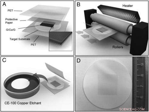 Streamlined Graphene Deposition on Flexible Substrates: Faster, Simpler, Superior