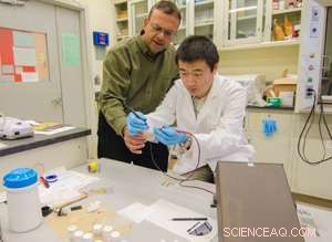 NJIT Scientists Pioneer Flexible Carbon‑Nanotube Battery