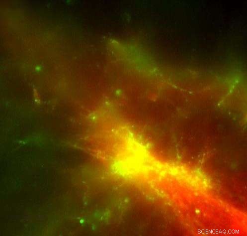 Revolutionizing Transport: The Nanotrain Network Powered by DNA