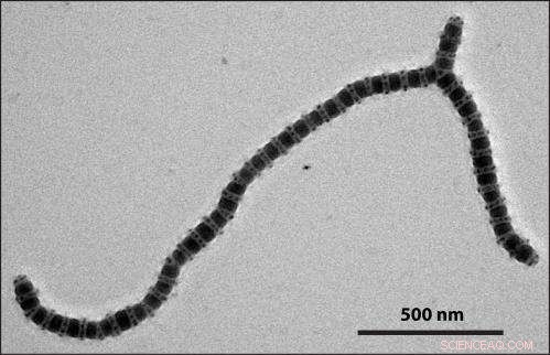 Revolutionary Principle Enables Precise Self-Assembly of Patterned Nanoparticles