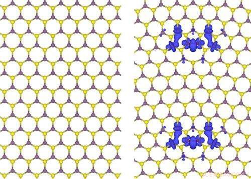 Nano Magnets Emerging at 2D Dichalcogenide Grain Boundaries