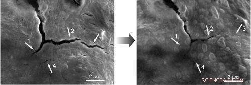 Scientists Unveil Self‑Healing Battery Electrode, Extending Silicon Cell Life