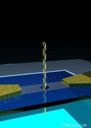 New Advances in Nanopore Technology Enhance DNA Detection Accuracy