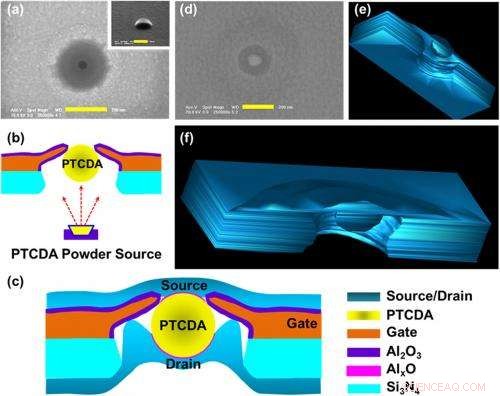 Highest Mobility Achieved by a Single-Particle Organic Semiconductor Transistor