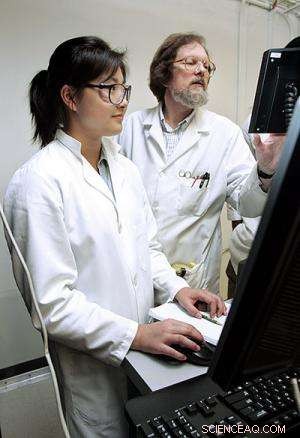 Unlocking the Past: How Molecular Analysis Reveals Materials Across Millennia