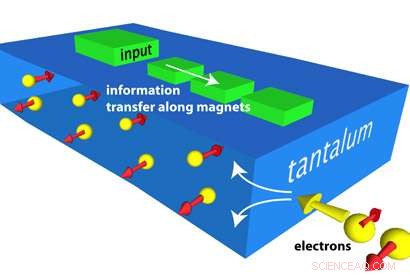 New Milestone Paves Way for Magnets to Replace Transistors in Future Computers