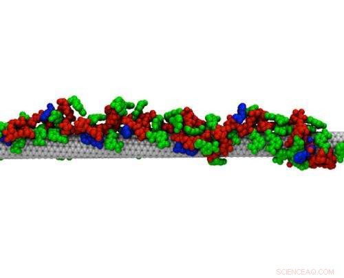MIT Engineers Create Carbon-Nanotube Antibodies for Precise Molecular Detection