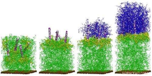 Self-Healing Polymer Gels: New Composite Materials Regenerate After Damage