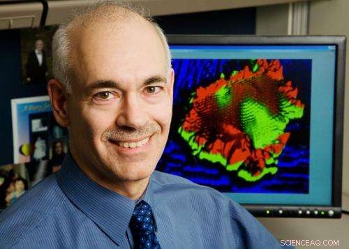 Self-Soldering Nanotubes Boost Device Performance – A Breakthrough Study