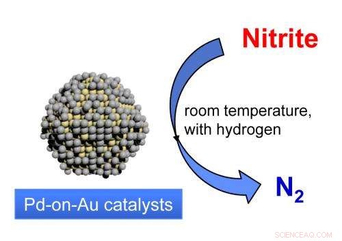Rice University Researchers Identify Gold-Palladium Nanoparticle Catalyst to Rapidly Decompose Nitrites