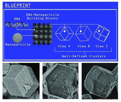 DNA-Mediated Slow Cooling Guides Nanoparticles into Precise Crystalline Structures