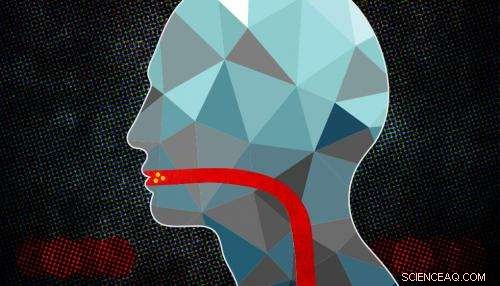 Revolutionary Oral Delivery: Scientists Enable Nanoparticle Therapeutics Without Injections