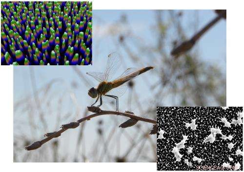 Revolutionary Germ‑Killing Nano‑Surface Promises Sterile Surfaces Without Disinfectants