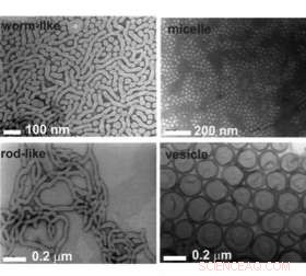 Cylindrical Nanoparticles Deliver Sevenfold Greater Efficacy Against Breast Cancer Cells