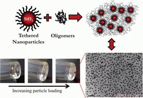 Soft Nanoparticle Dynamics in Dense Suspensions: Arrangement & Mobility