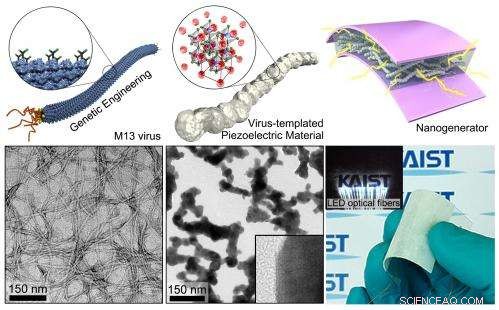 Innovative Biotemplated Piezoelectric Nanogenerator Developed for Efficient Energy Harvesting