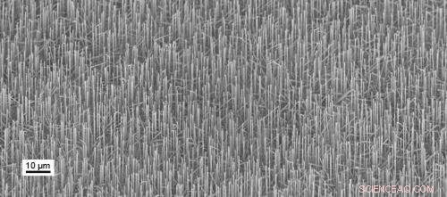 Semiconductor Nanowires Generate Laser Light at Practical Wavelengths