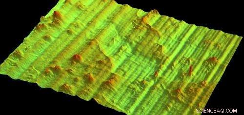 Interferometric Microscopy Reveals the Nano-World with Unprecedented Detail
