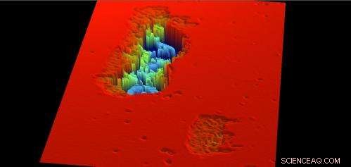 Interferometric Microscopy Reveals the Nano-World with Unprecedented Detail