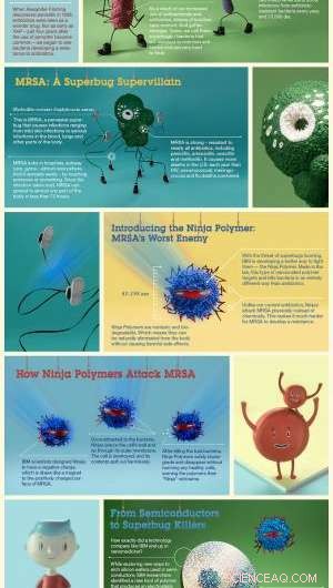 Turning Recycled PET into Targeted Anti‑Fungal Nanofibers