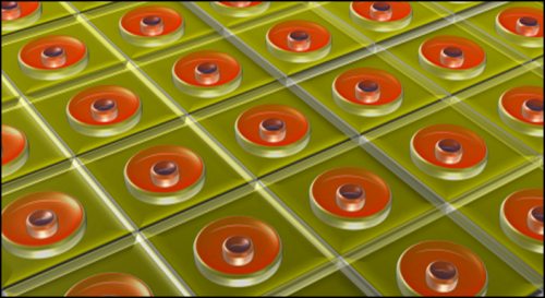 First Direct Observation of Solar Cell Degradation Unveils Key Insights