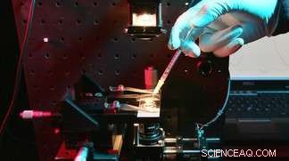 EPFL Researchers Employ Optical Methods to Quantify Toxic Nanomaterials in Cells