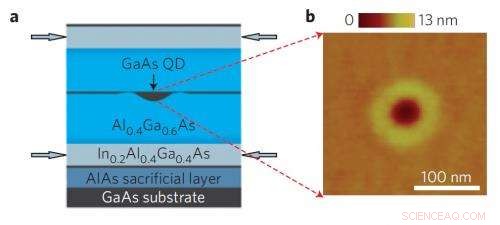 Harnessing Light-Hole Confined Quantum Dots for Advanced Quantum Technologies