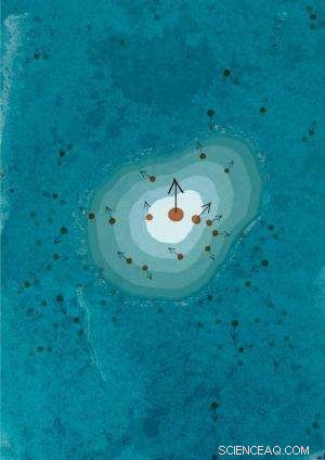 Precise Electrical Control of Magnetism in Single-Atom Cobalt Magnets