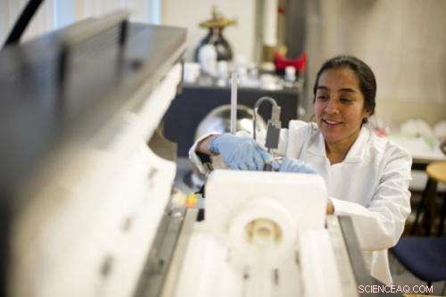 When Nature Imitates Art: Biomimicry Meets Nanoscience