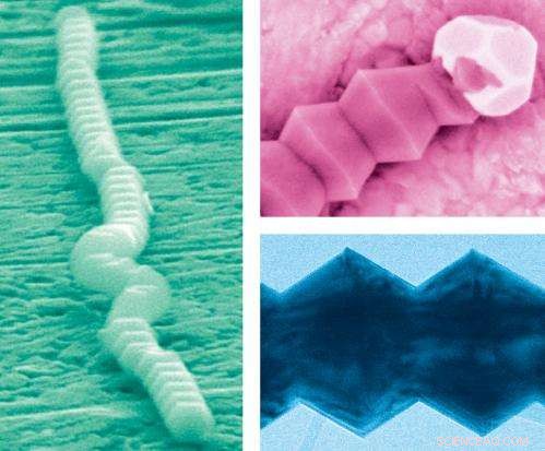 When Nature Imitates Art: Biomimicry Meets Nanoscience