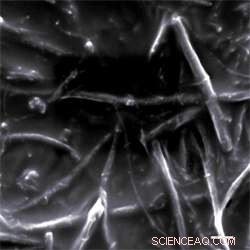 Graphene Nanoribbons: A Revolutionary Ice-Melting Coating for Radar Systems