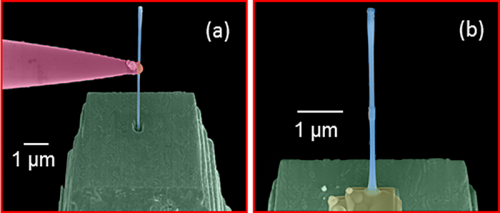 Unveiling the Hidden Structure of Semiconductor Nanowires