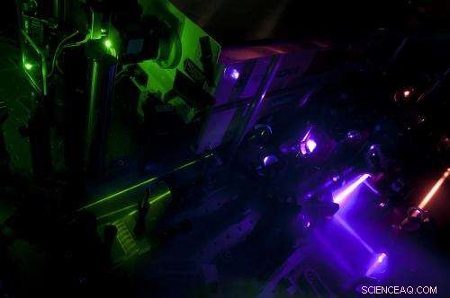 Harnessing Quantum Waves to Boost Organic Solar Cell Efficiency