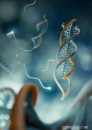 DNA Clamp Detects Cancer Early: A Breakthrough Diagnostic Tool