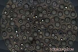 Researchers Uncover Key Lead in Missing Silver Investigation