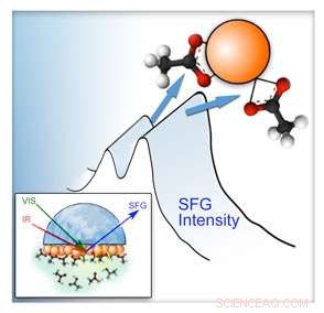 New Techniques Reveal How Nanoparticle Surface Chemistry Drives Cell Interaction