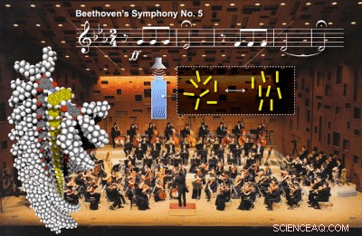 Nanofibers Align with Beethoven and Mozart: A Breakthrough in Sound-Responsive Materials