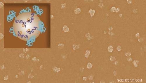 Engineered Nanoparticles Enable On-Demand Vaccine Production