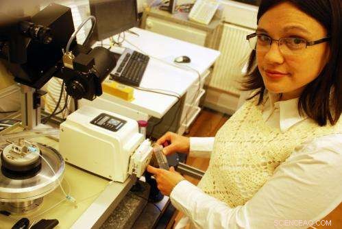 Miniature Drug Cabinets Attached to Cancer Cells: A Breakthrough for Long-Term Treatment