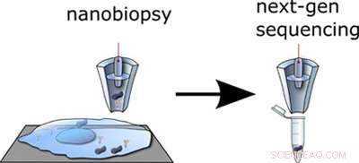 Robotic Nanobiopsy Enables Live-Cell Sampling Without Damage
