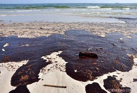 Carbon Nanotube Sponge Achieves 3× Greater Efficiency in Water Contaminant Removal