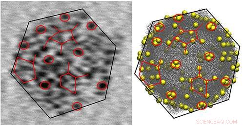 Gold Nanoparticles Enable Precise Tracking of Viruses: A Novel Diagnostic Approach