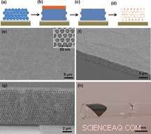 Enhancing Thin‑Film Solar Cells with Inverse Opal Photonic Crystals