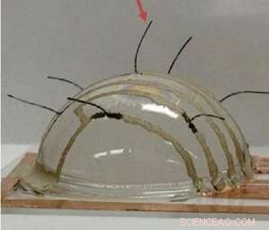 E-Whiskers: Cutting‑Edge Tactile Sensors Achieve Unprecedented Sensitivity