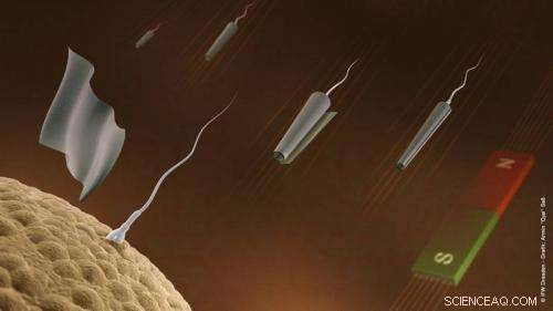 Scientists Direct Sperm Bots with Magnetic Control Toward Targeted Locations