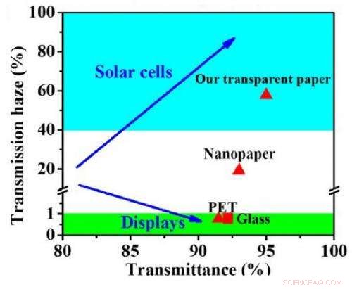 Wood-Based Solar Cells: The Next Generation of Sustainable Photovoltaics