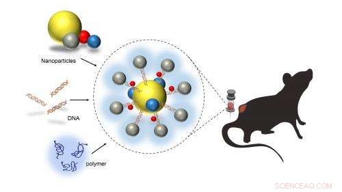 Researchers Engineer Degradable DNA-Based Nanostructures for Targeted Applications