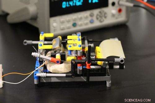 Generating Electricity from Humidity-Induced Bacterial Spore Dynamics